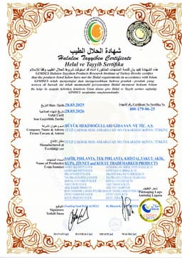 SAFİR