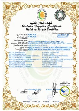 AYDIN STAR