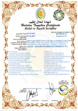 SİNANGİL