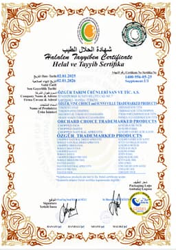 VİNE CHOİCE