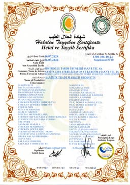 MİRZA