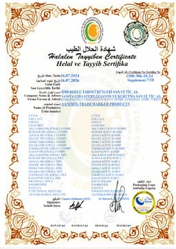 MİRZA