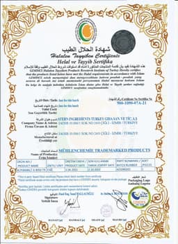 MÜHLENCHEMİE