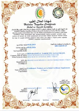 BOYRAZ LTD