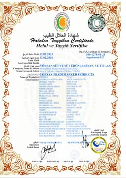 BURDAN